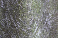 Shiremoor fibreglass roof work